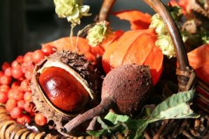 herbstliche dekoration